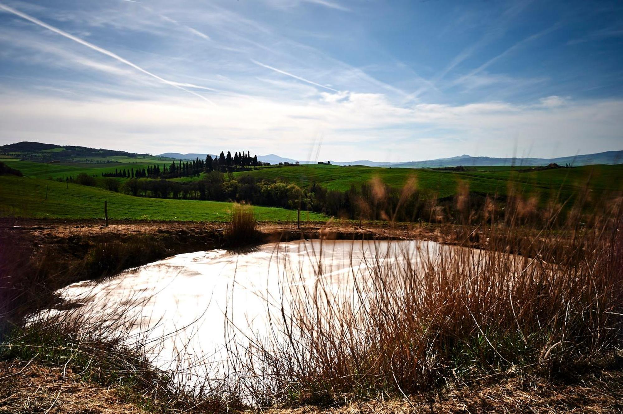 Agriturismo Il Casalino بيينْسا المظهر الخارجي الصورة