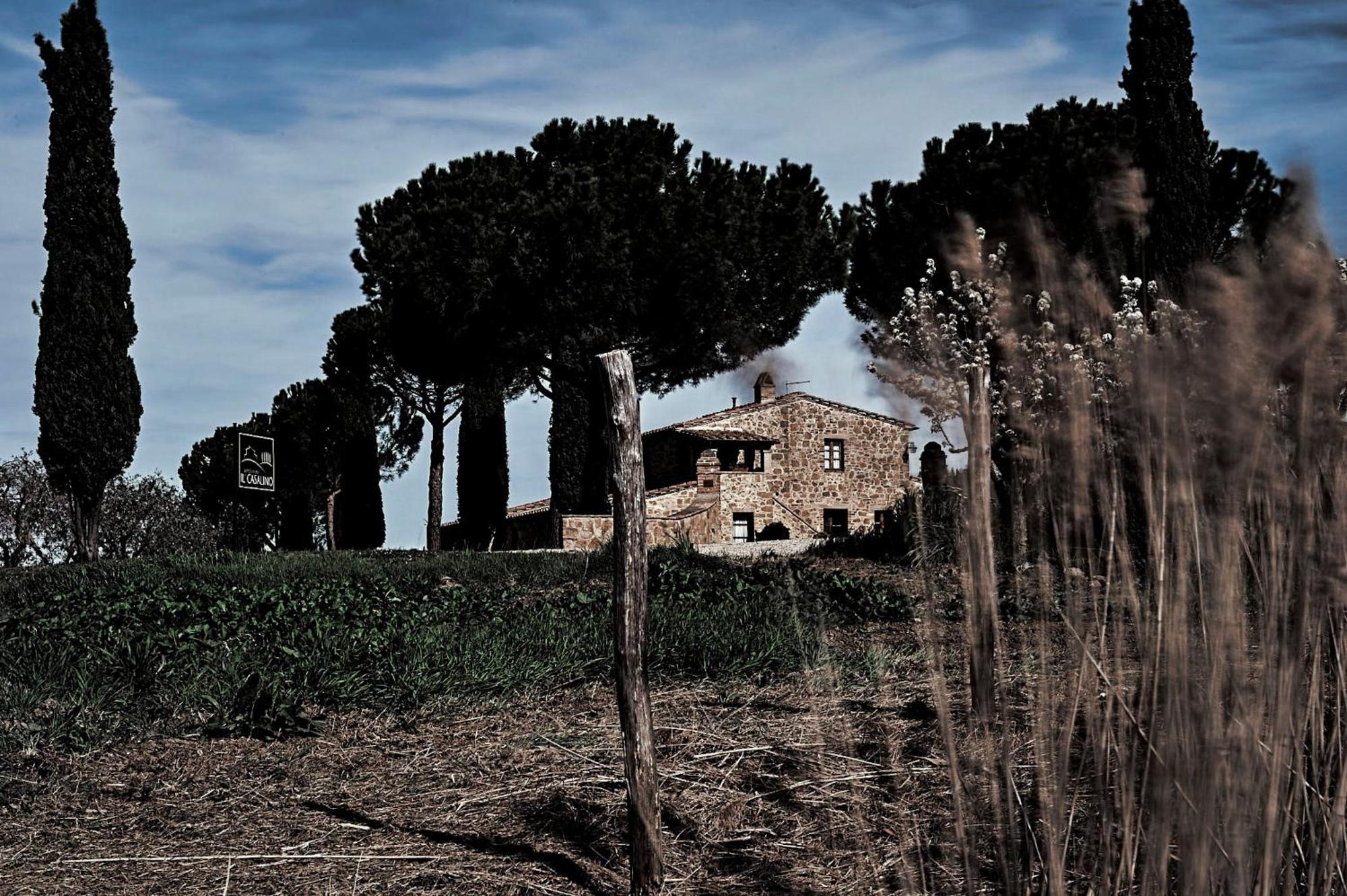Agriturismo Il Casalino بيينْسا المظهر الخارجي الصورة