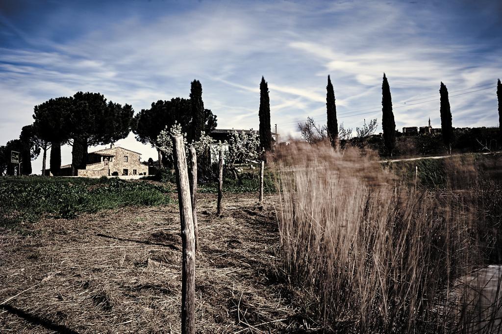 Agriturismo Il Casalino بيينْسا المظهر الخارجي الصورة