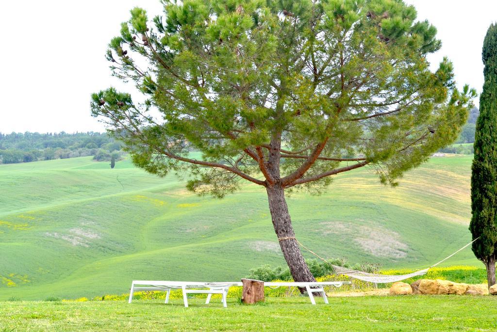Agriturismo Il Casalino بيينْسا المظهر الخارجي الصورة