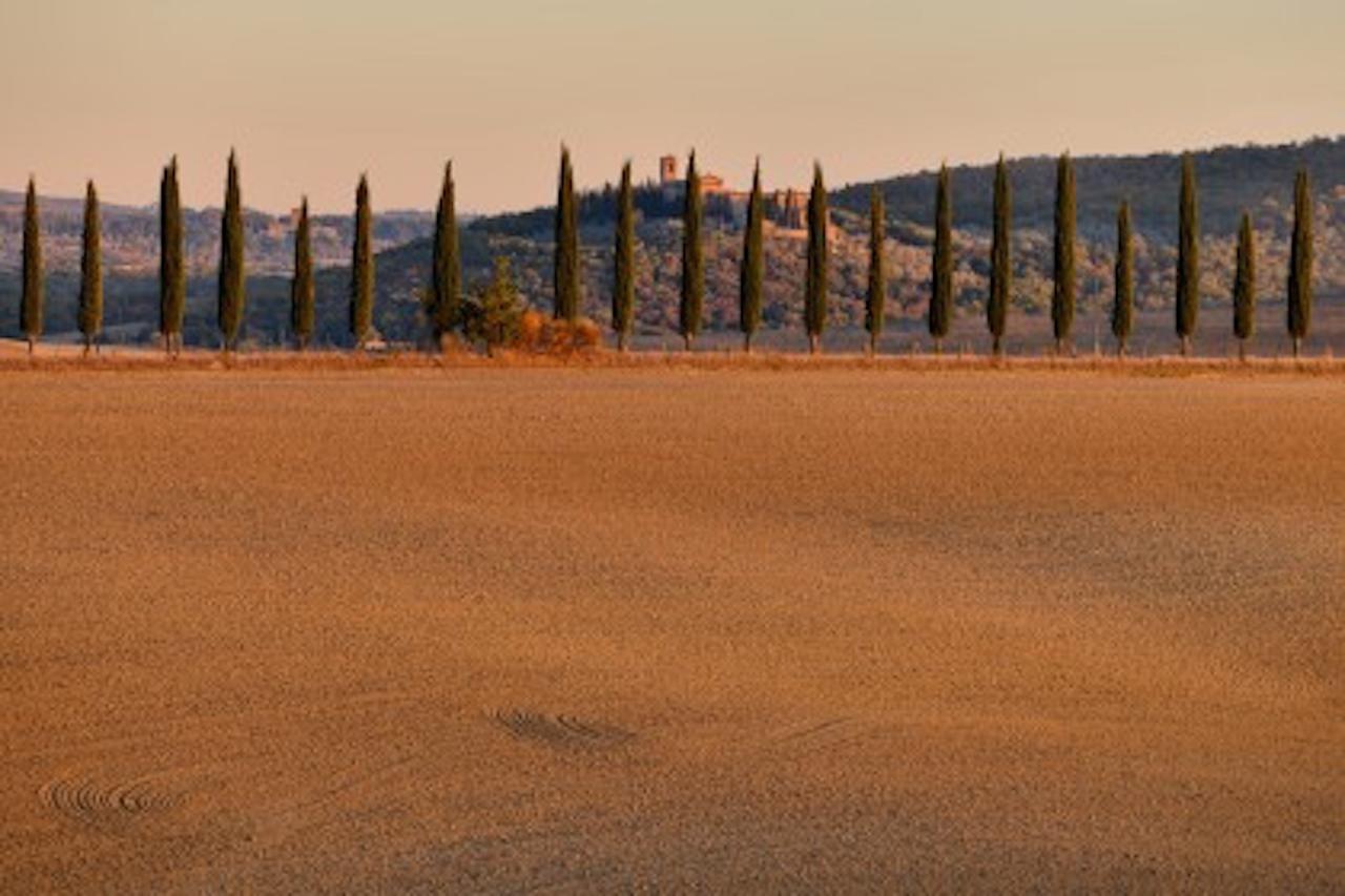 Agriturismo Il Casalino بيينْسا المظهر الخارجي الصورة